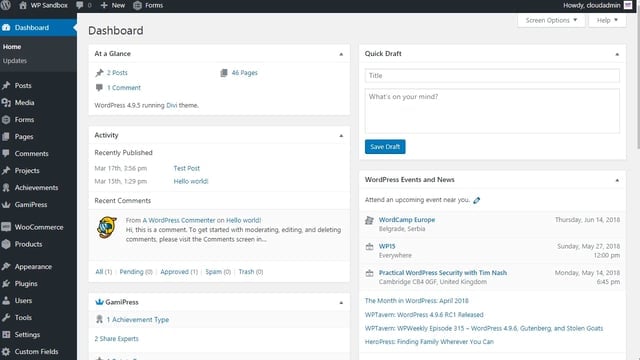 Screenshot of a WordPress dashboard featuring sections like At a Glance, Activity, and Recent Comments. The top menu offers options including Posts, Media, and Pages. Enhance engagement by using Gravity Forms to segment your subscribers, as seen in the draft title box on the right.